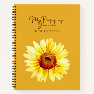 Christian Pregnancy Journal | Third Trimester