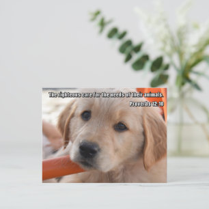 Christian Puppy Postcard