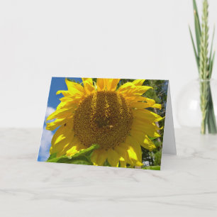 Christian Sunflower Birthday Card