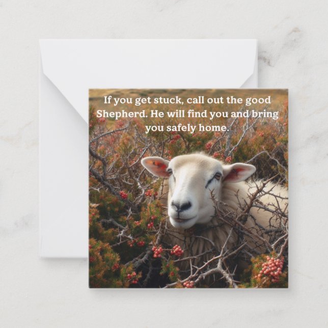 Christian support lamb in briars card (Front)