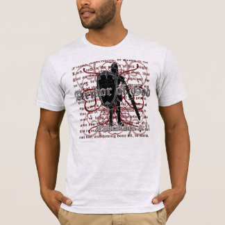 Christian T-Shirts, Mens Armour of God T-Shirts