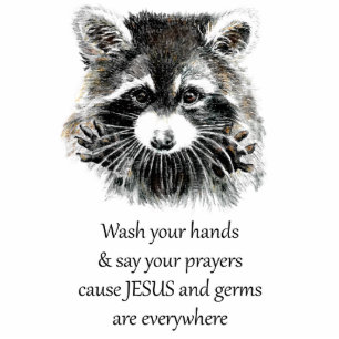 Christian Washroom Wash your Hands Raccoon Animal Standing Photo Sculpture