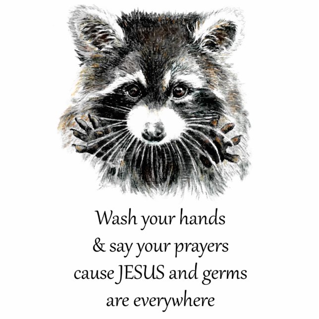 Christian Washroom Wash your Hands Raccoon Animal Standing Photo Sculpture (Front)