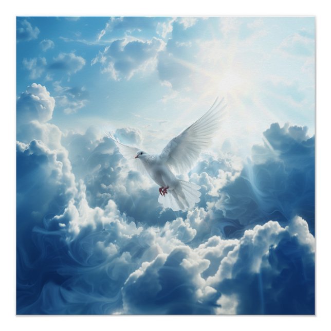 Christian White Dove Holy Heaven Spirit Poster (Front)