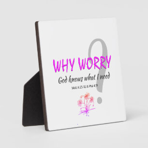 Christian WHY WORRY? GOD KNOWS Matt 6:25 Phil 4:19 Plaque