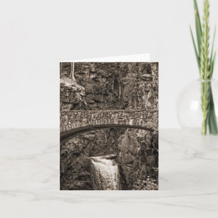 Christine Falls, WA Thank You Card