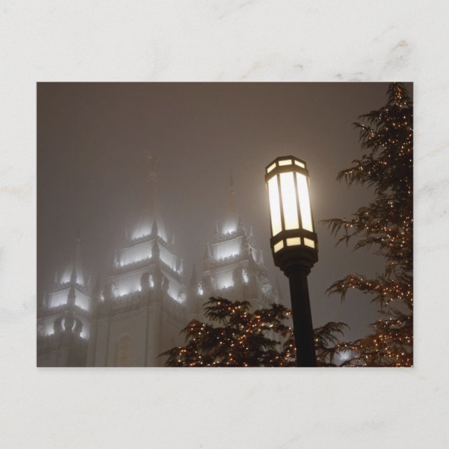 Christmas2010 Holiday Postcard (Front)