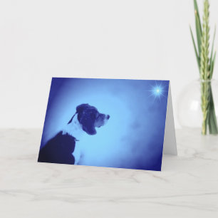 Christmas 2005 holiday card