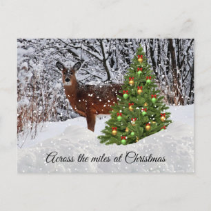 Christmas Across the Miles Deer Snow Postcard