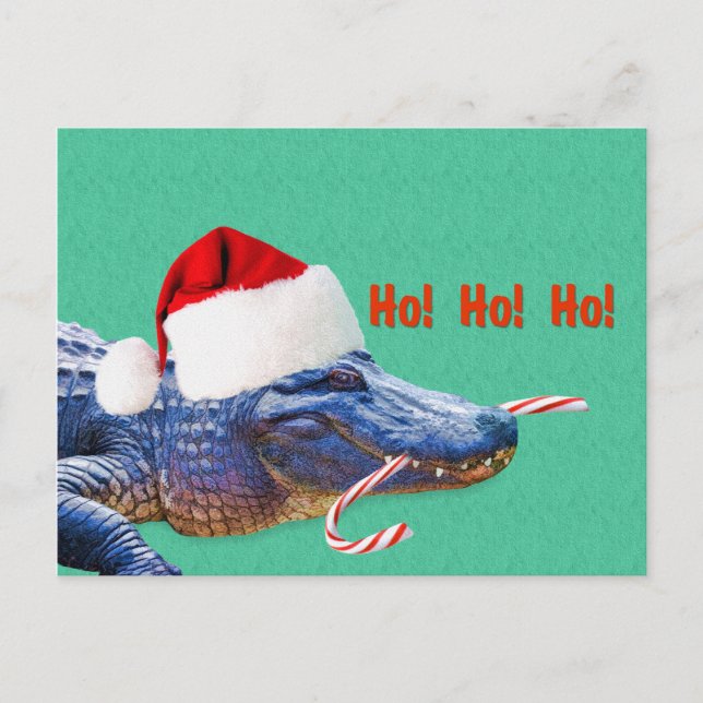 Christmas, Alligator with Santa Hat Holiday Postcard (Front)