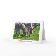 Christmas Animal Donkey