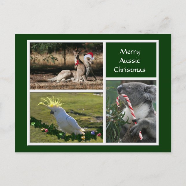 Christmas Animals Aussie Style - Personalizable Holiday Postcard (Front)