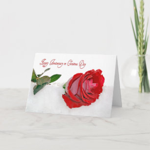 Christmas Anniversary Rose Holiday Card