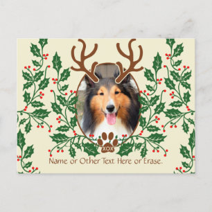 Christmas Antlers For Dog / Cat Personalise Photo Holiday Postcard