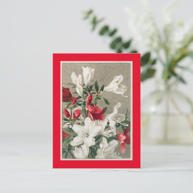 Christmas apple blossom holiday postcard (Standing Front)
