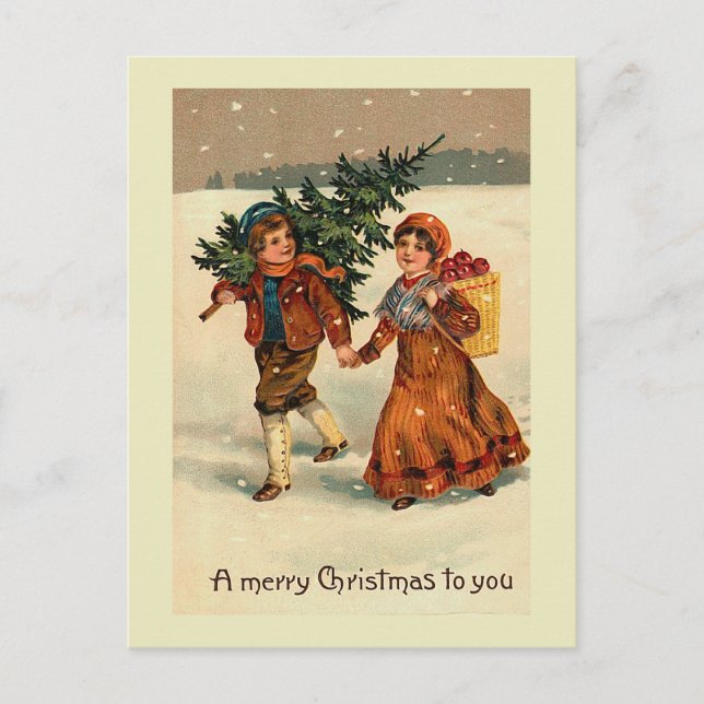 "Christmas Apples" Postcard (Front)
