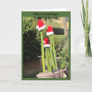 Christmas Arizona Style! Holiday Card
