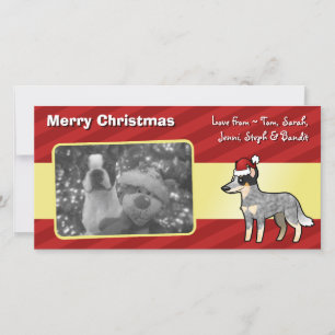 Christmas Australian Cattle Dog / Kelpie Holiday Card