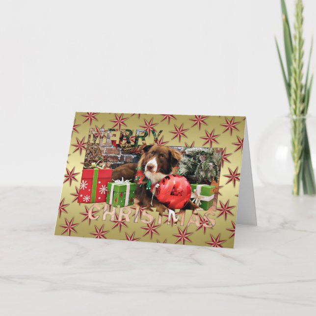Christmas - Australian Shepherd - Molly Holiday Card (Front)