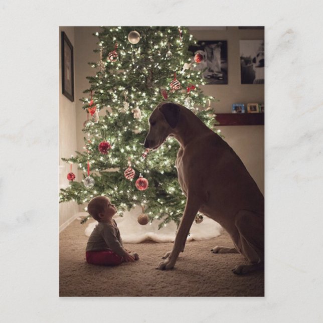 Christmas Baby and Dog Best Friend Holiday Postcard (Front)