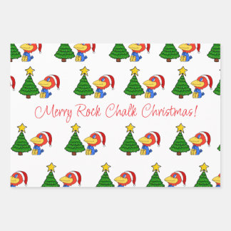 Christmas Baby jay Wrapping Paper Sheet