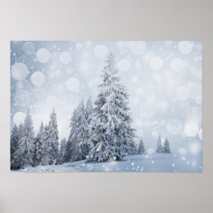 Christmas Background With Snowy Fir Trees Poster