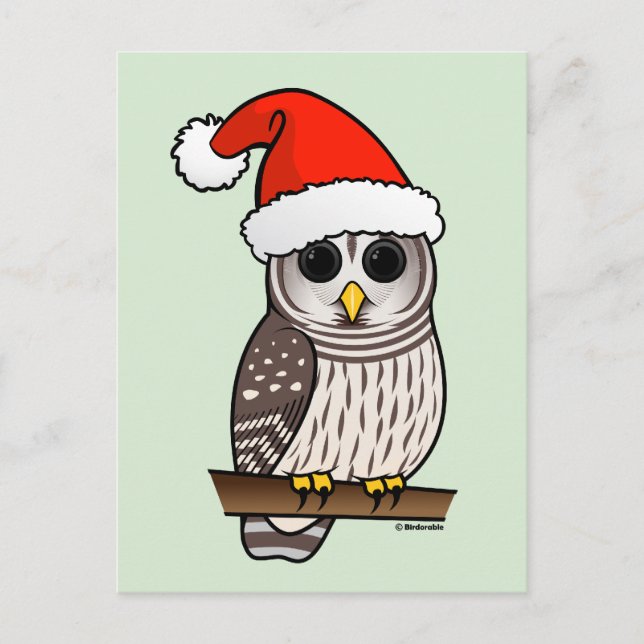 Christmas Barred Owl Santa Holiday Postcard (Front)