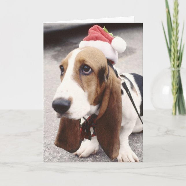 Christmas Basset Hound in Santa Hat Greeting Card (Front)