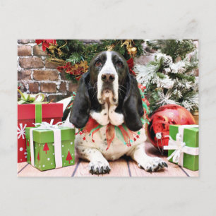 Christmas - Basset Hound - Jasmine Holiday Postcard