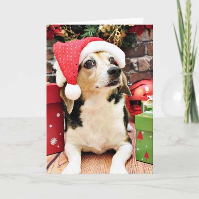 Christmas - Beagle - Bailey Holiday Card (Front)