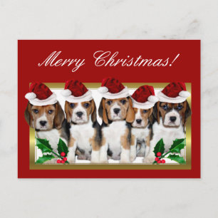 Christmas Beagle puppies postcard