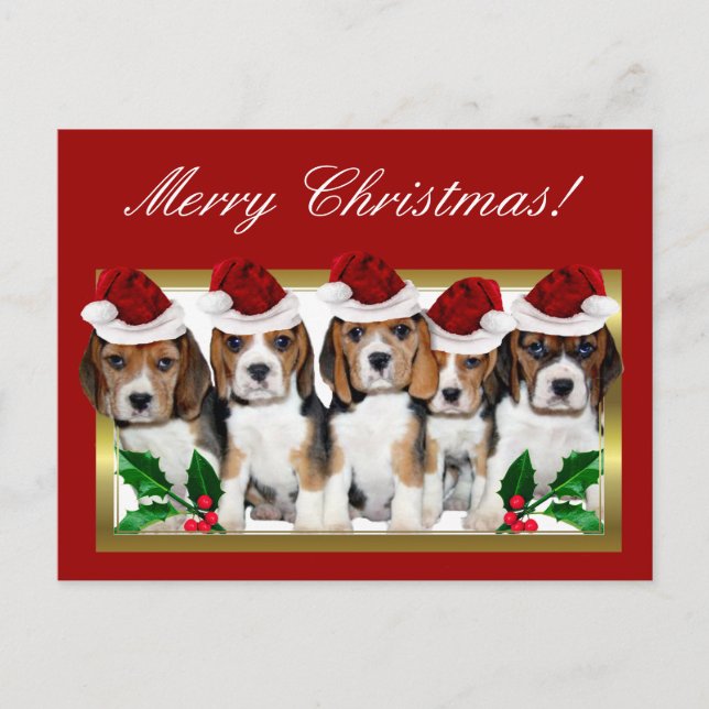 Christmas Beagle puppies postcard (Front)
