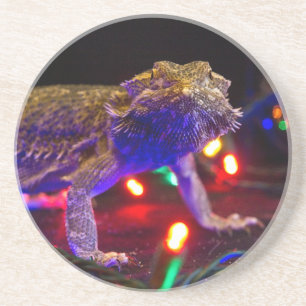 Christmas Beardie Coaster