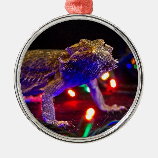 Christmas Beardie Metal Tree Decoration (Front)