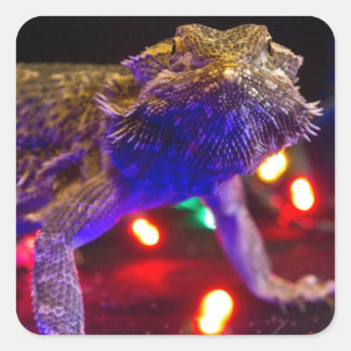 Christmas Beardie Square Sticker