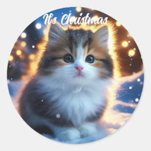 Christmas Beautiful Kitten in the snow Classic Round Sticker