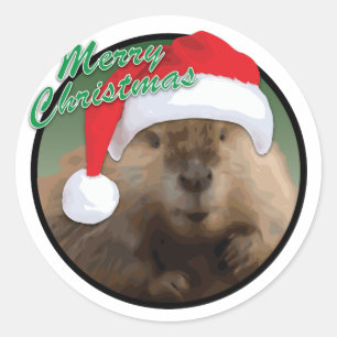 Christmas Beaver - Classic Round Sticker, Glossy Classic Round Sticker