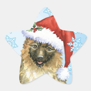Christmas Belgian Laekenois Star Sticker