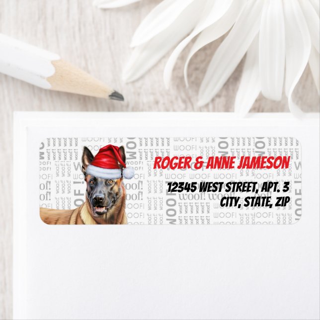 Christmas Belgian Malinois Dog Holiday Address (Insitu)
