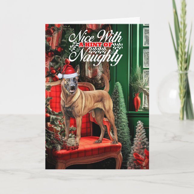 Christmas Belgian Malinois Dog Naughty or Nice Holiday Card (Front)