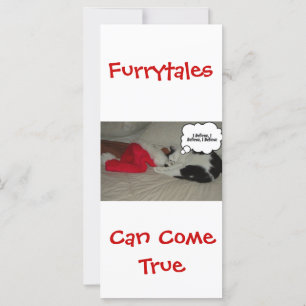 Christmas Believe Black and White Kitten