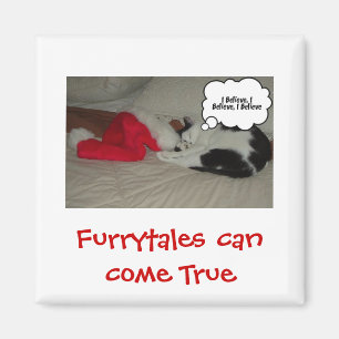 Christmas Believe Black and White Kitten Magnet