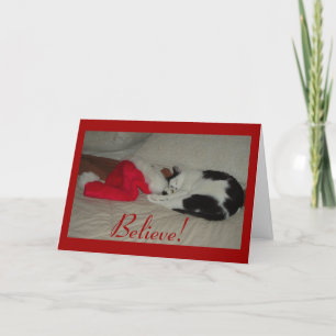 Christmas Believe kitty cat Holiday Card