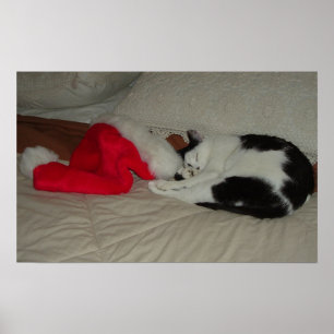 Christmas Believe Poster