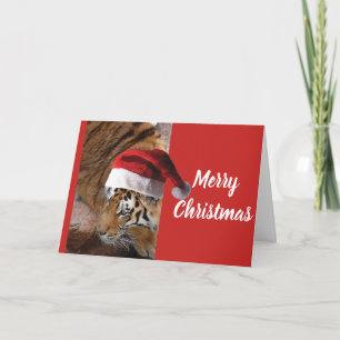 Christmas Bengal Tiger Card