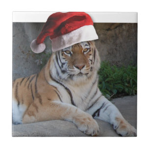 Christmas Bengal Tiger Tile