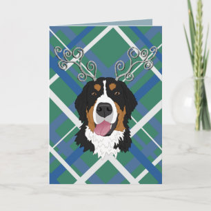 Christmas Bernese Mountain Dog  Card