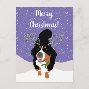 Christmas Bernese mountain Dog Gift Card