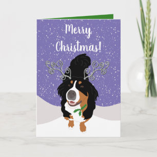 Christmas Bernese mountain Dog Gift Card