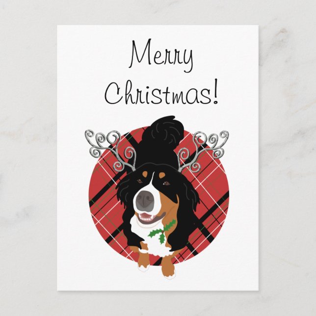 Christmas Bernese mountain Dog Gift Card (Front)
